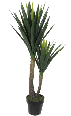 Artificial Joshua Tree Cane Yucca in Pot (XL)