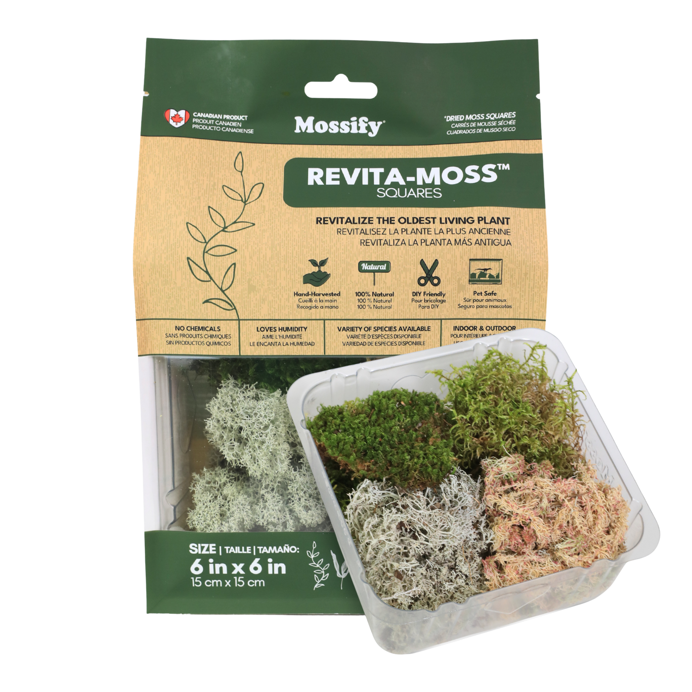 Revita-Moss Mixed Pack - Live Moss / Dormant Moss