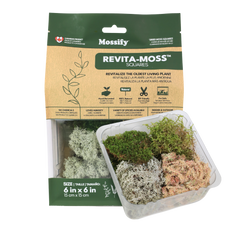 Revita-Moss Mixed Pack - Live Moss / Dormant Moss