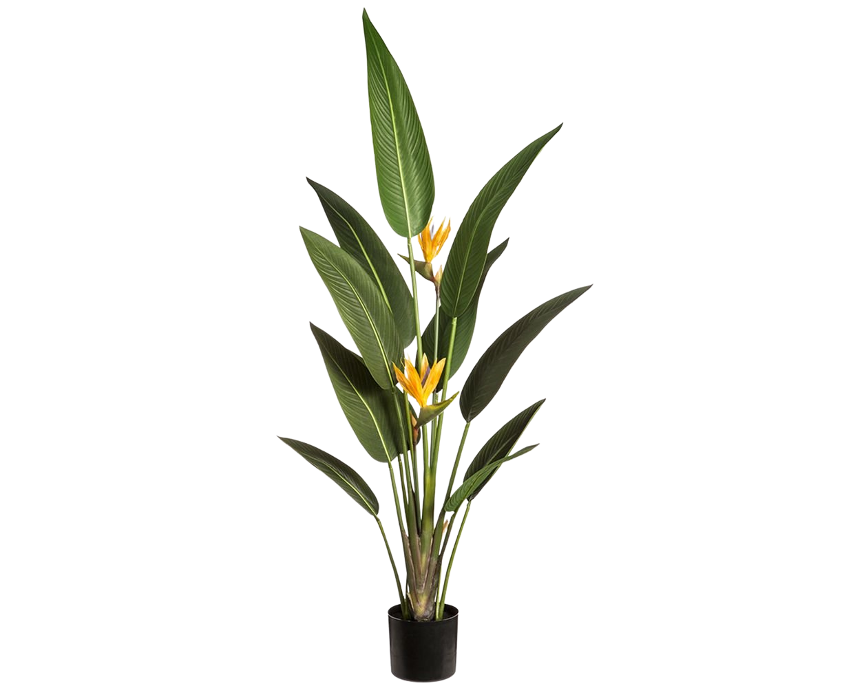 Artificial Bird of Paradise in Iron Pot (XXL)