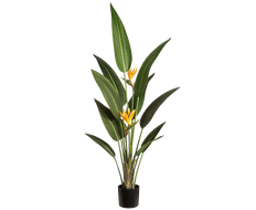 Artificial Bird of Paradise in Iron Pot (XXL)
