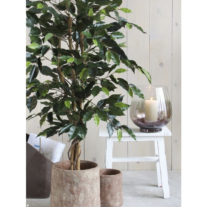 inspiratie