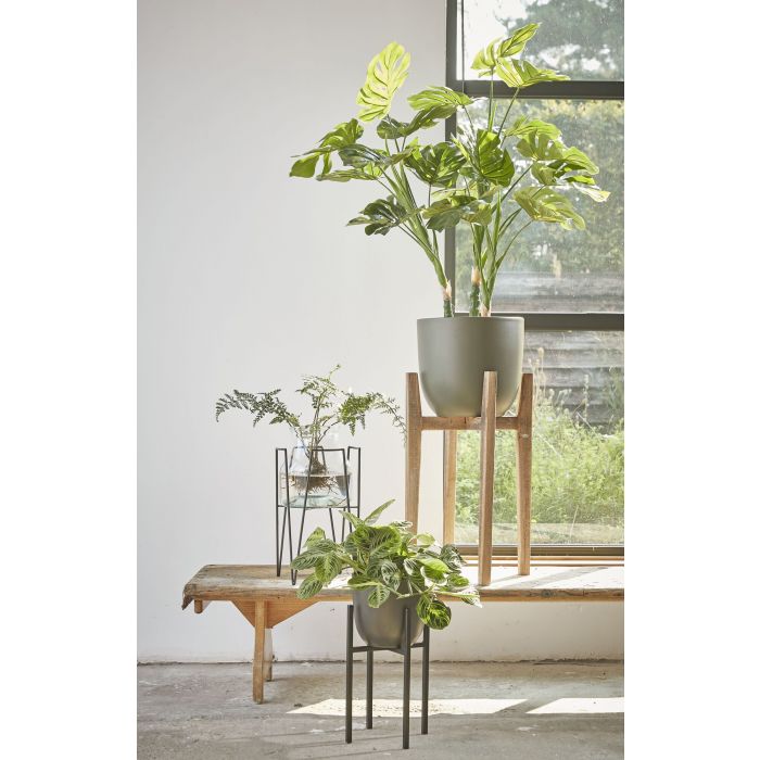 inspiratie