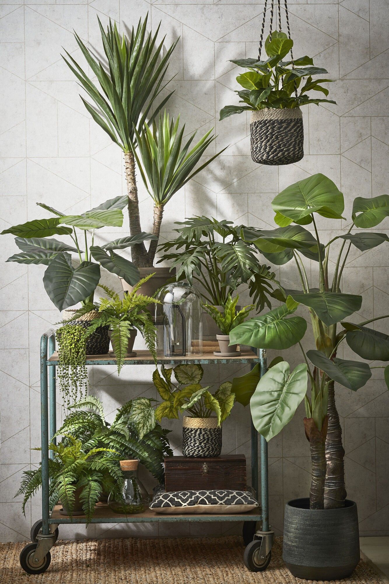 inspiratie