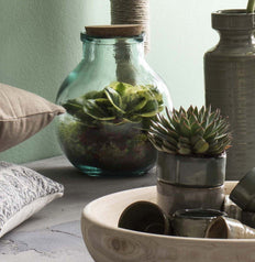 inspiratie