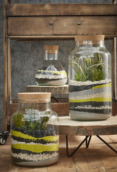 inspiratie