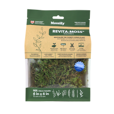 Mood Moss (Dicranum)