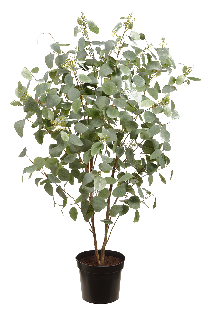 Artificial Eucalyptus Tree (XL)
