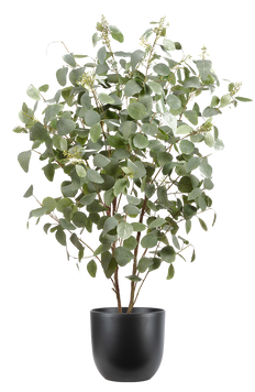 Artificial Eucalyptus Tree (XL)