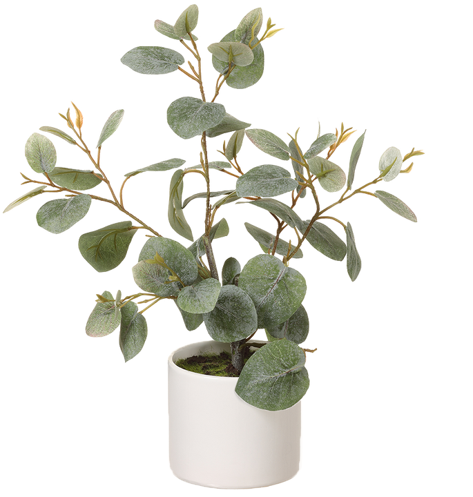 Artificial Eucalyptus in Ceramic Pot