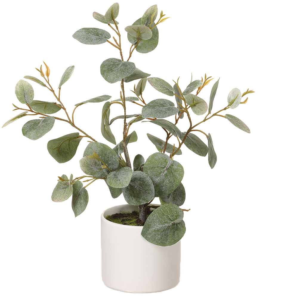 Artificial Eucalyptus in Ceramic Pot