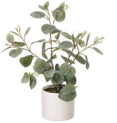Artificial Eucalyptus in Ceramic Pot (M)