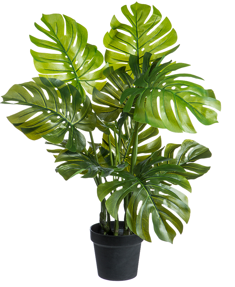 Artificial Monstera Deliciosa | Swiss Cheese Plant 11L