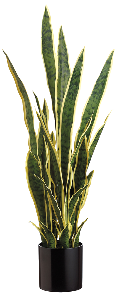 Artificial Sansevieria Laurentii in Ceramic Pot | Snake Plant
