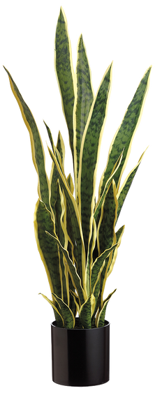 Artificial Sansevieria Laurentii in Ceramic Pot | Snake Plant