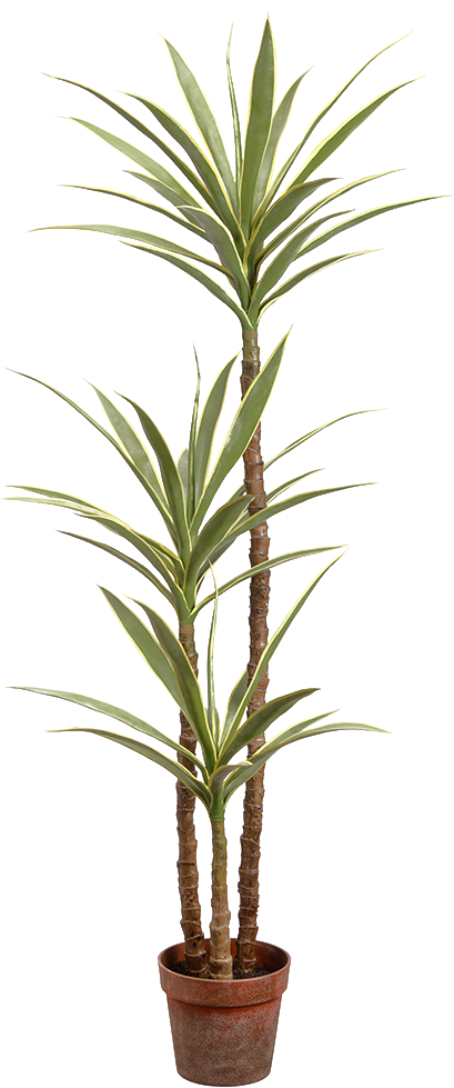 Artificial Joshua Tree Cane Yucca in Pot (XXL)