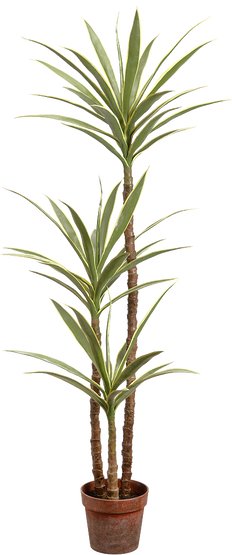 Artificial Joshua Tree Cane Yucca in Pot (XXL)