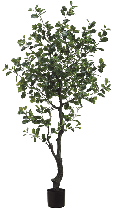 Artificial Ficus Microcarpa | Moclame (XXL)