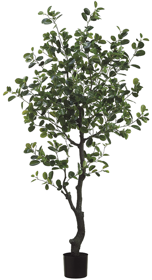 Artificial Ficus Microcarpa Moclame 10" Pot Pet Friendly And Easy Care Houseplant Plantsome