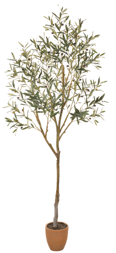 Artificial Olive Tree in Cement Pot (XXL)
