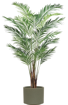Artificial Areca Palm (XXL)
