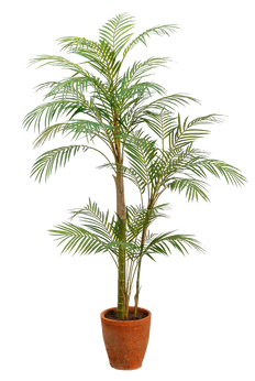 Artificial Areca Palm in Clay Pot (XL)