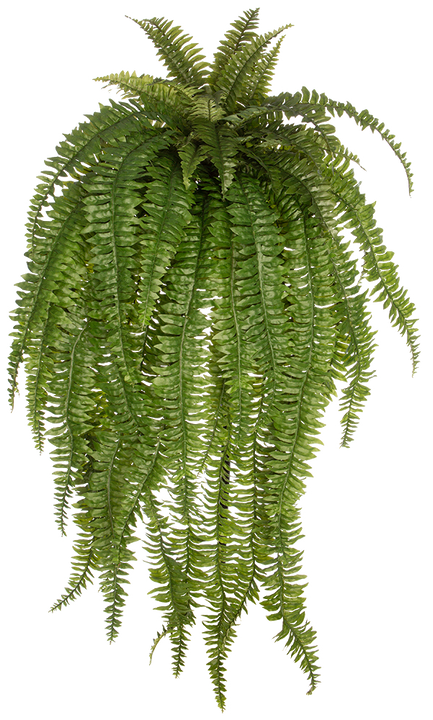 Artificial Nephrolepis Exaltata | Boston Fern (XXL)