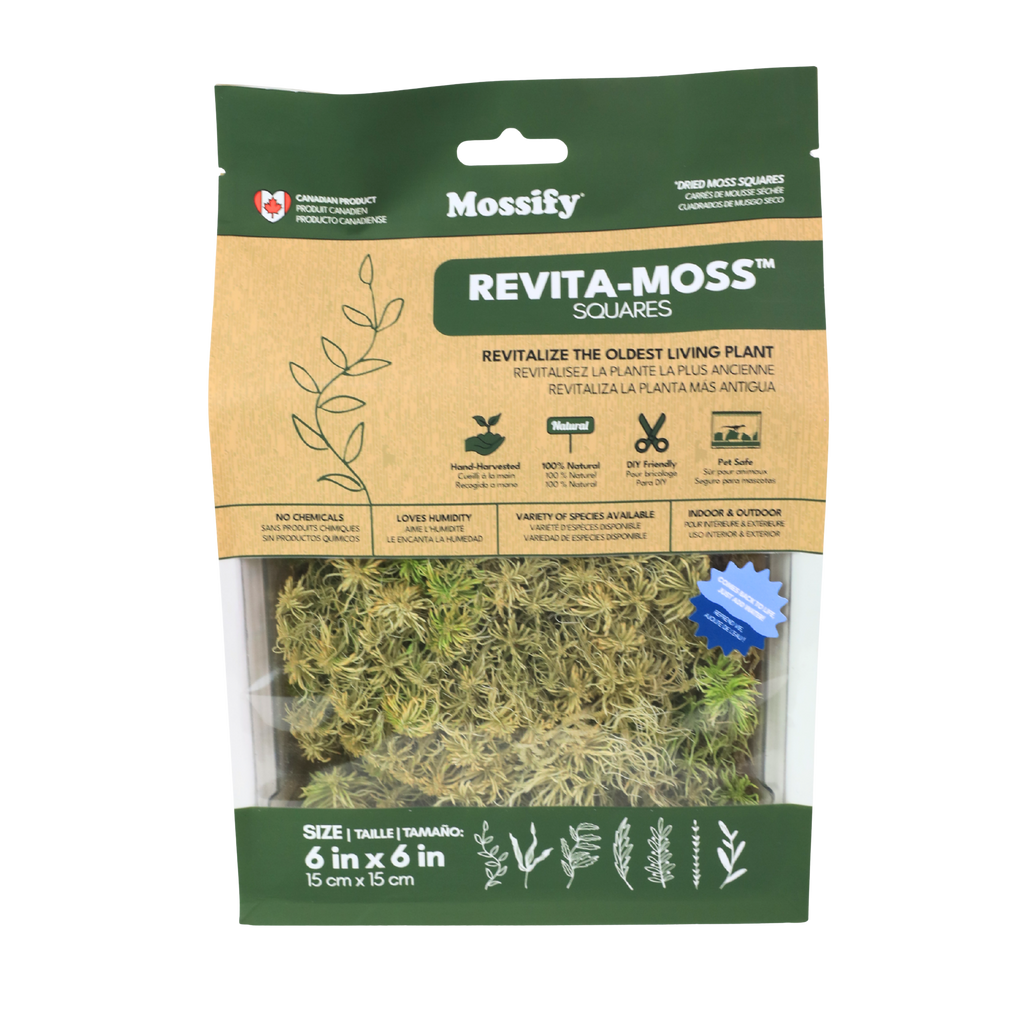 Natural Canadian Sphagnum Moss - Live Moss / Dormant Moss