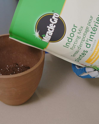 miracle gro indoor potting mix reddit Miracle Gro All Purpose Indoor Potting Mix