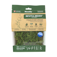 Natural Forest Moss (Pleurozium schreberi) - Live Moss / Dormant Moss