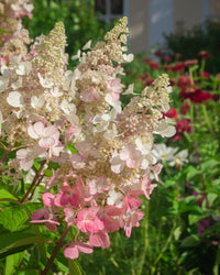 inspiratie-1