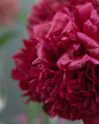 inspiratie-1