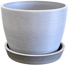 Morris (17cm | Fits 6 inch)