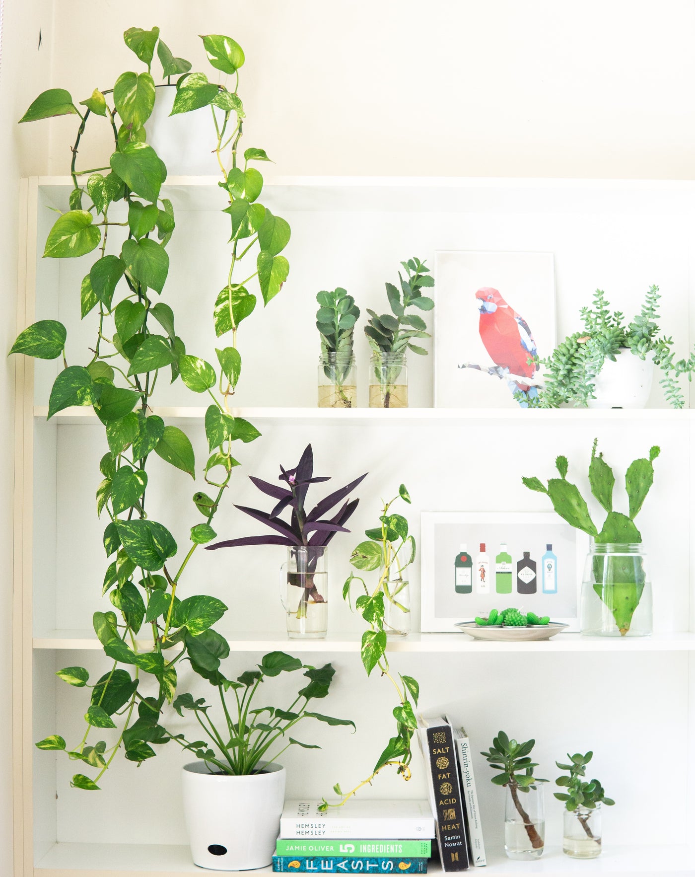 inspiratie