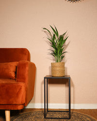 inspiratie-1