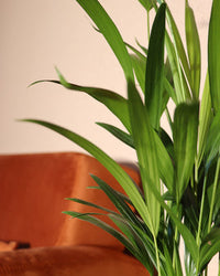 inspiratie-2
