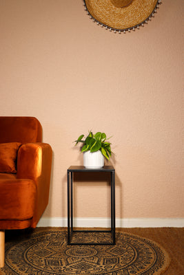 inspiratie