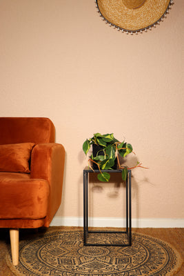 inspiratie
