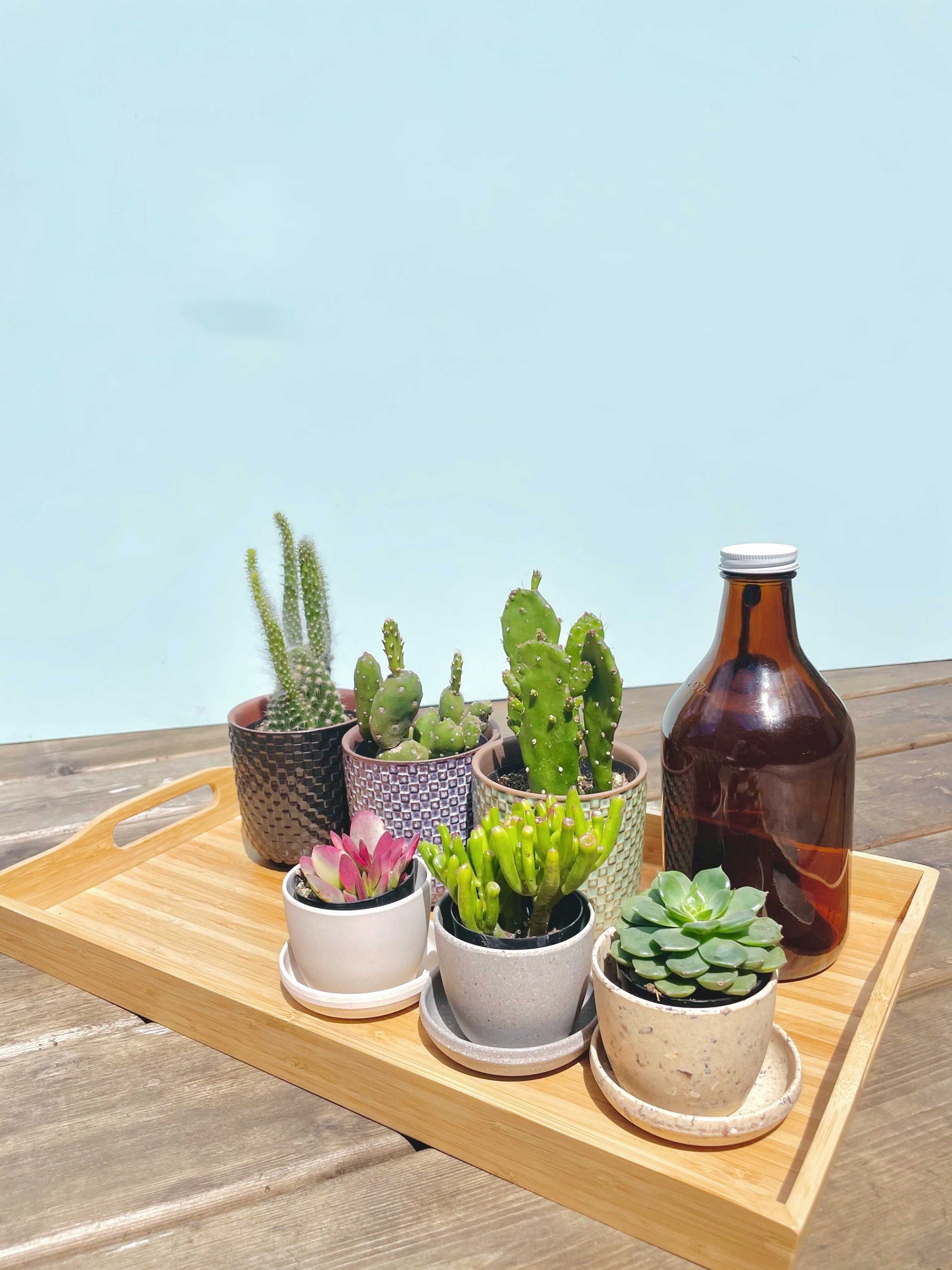 inspiratie