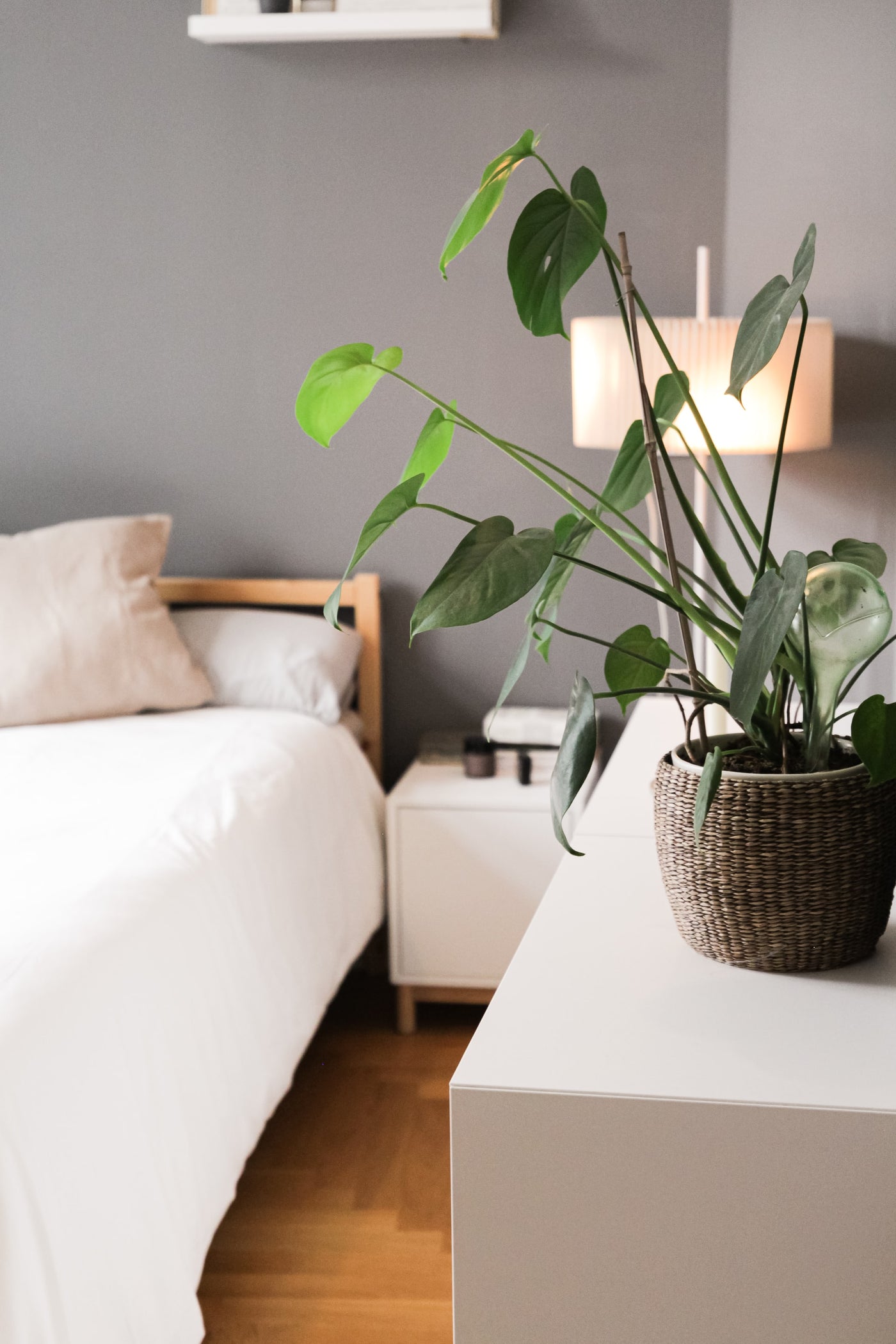 inspiratie