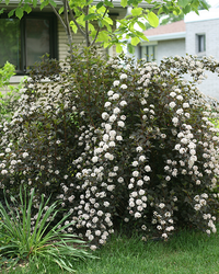 inspiratie-4