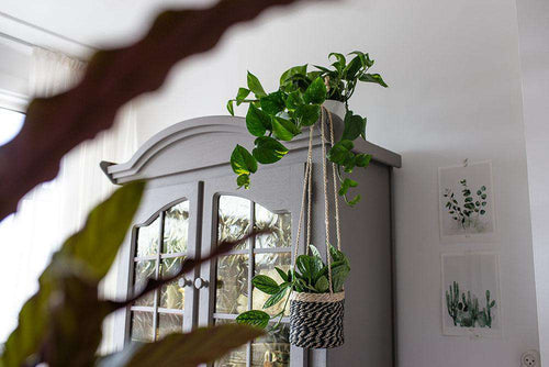 inspiratie