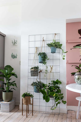 inspiratie