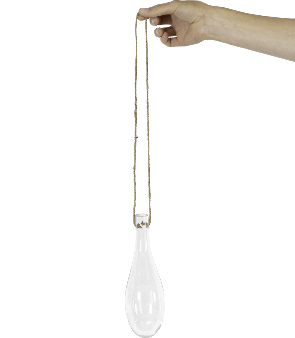 Glass Propagation Tube | S