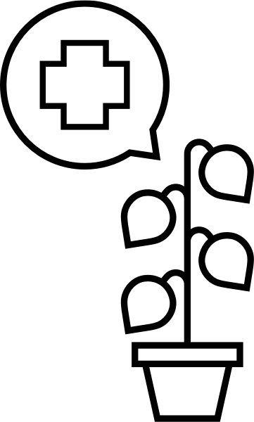 zieke-plant